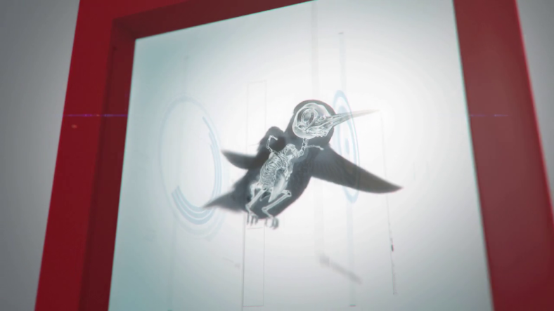 CCTV Rebrand 2016 Humming Bird Ident